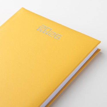 AGENDA GIORNALIER15X21