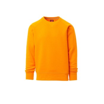 MISTRAL + FELPA GIROCOLLO 300 GR. PAYPER